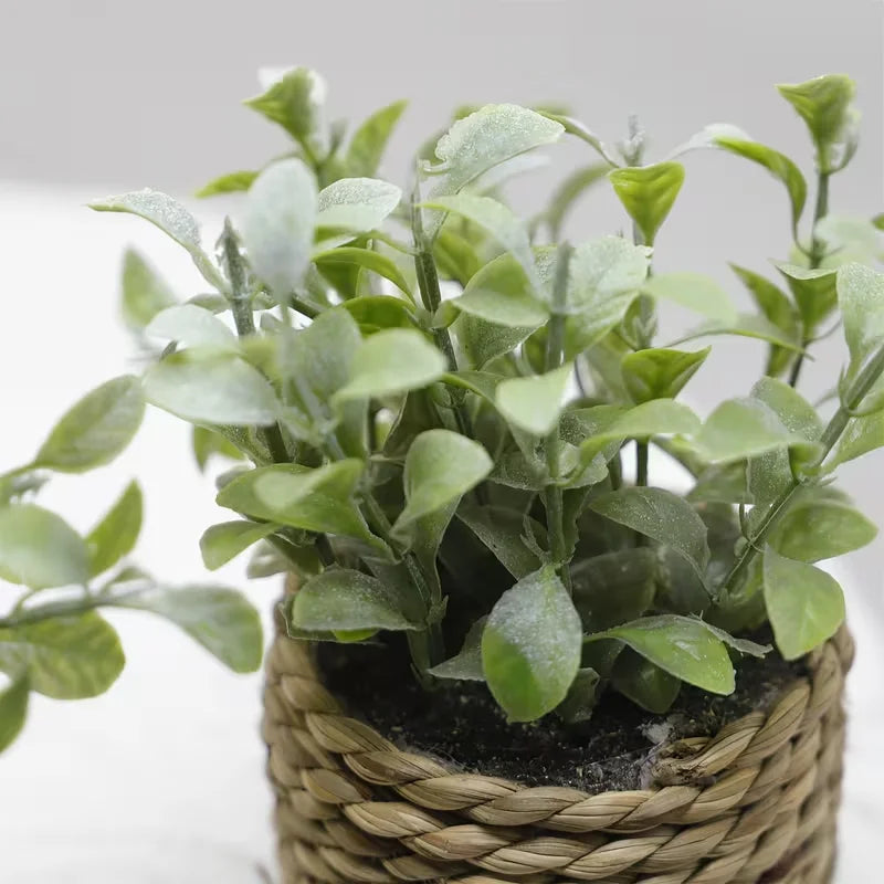 Kunstig plante i vævet potte