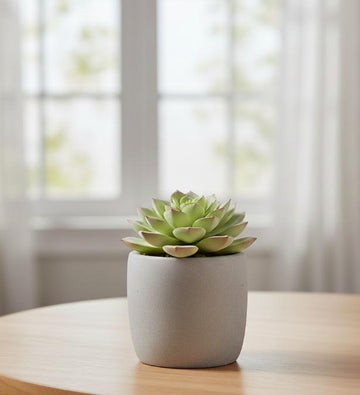 Kunstig sukkulent i cylindrisk potte af resin