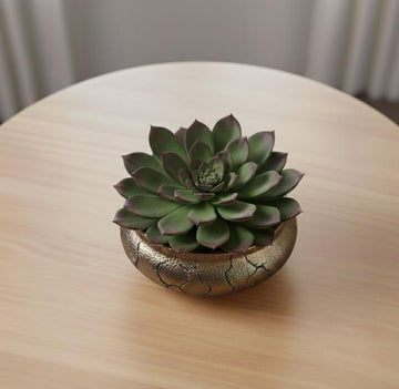 Kunstig sukkulent i skålformet potte